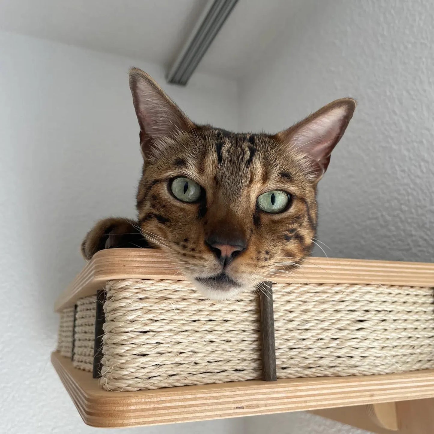 ThePawShelf™ – Wall-Mounted Cat Bed