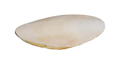 Prevue Pet Products Bpv1143 5-Inch Bird Cuttlebone, Medium - view 4