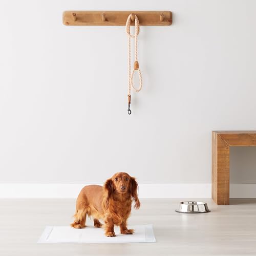 Basics Leak-Proof Dog and Puppy Potty Training Pee Pads with Quick-Dry 5-Layer Super Absorbent Design, Regular - view 7