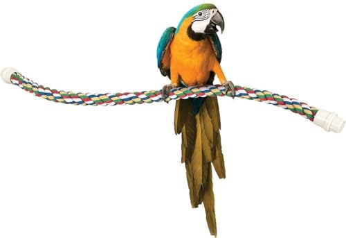 JW Pet Comfy Perch For Birds Flexible Multi-color Rope, Large - 36" Length - view 5