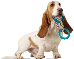 Petstages Dental Links Dog Chew Toy – Puppies & Adults, Strong Chewers, Multiple Textures & Rope, 8.5" x 4" x  - view 7