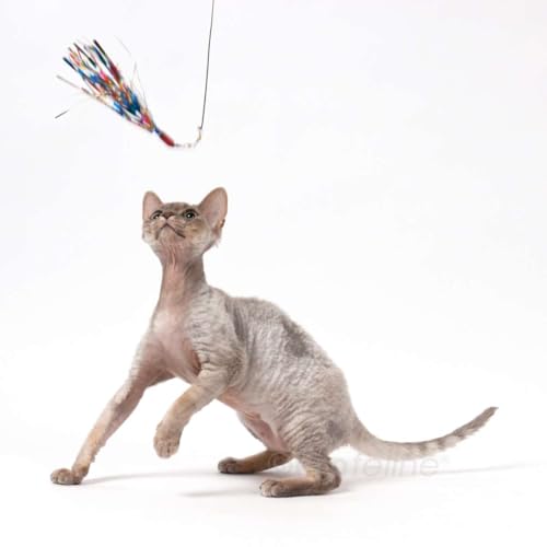 GoCat Da Bird Cat Toy Refill Accessories, Handmade in the USA, Sparkler - view 3