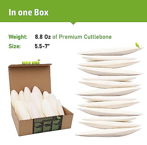 Large - 100% Natural Calcium Supplement - Premium Cuttlebone perfect for Birds, Tortoises, Snails, Reptiles -  - view 3