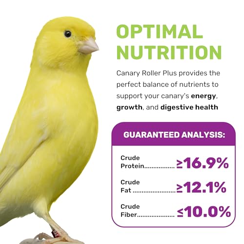 Canary Plus 5 Lbs, Premium Mixed Birdseed, Canary Bird Food with Essential Vitamins and Minerals, Healthy Bala - view 4