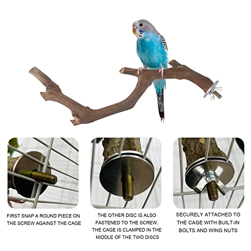 5PCS Bird Perch Stand Natural Wooden Parrot Stand Branch,3 Grape Wood Perch,2 Stand,Paw Grinding Fork Parakeet - view 4