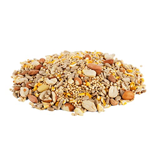 Morning Song Clean & Free Shell Free Wild Bird Food, Premium No Mess Bird Seed for Outside Feeders, 10-Pound B - view 5