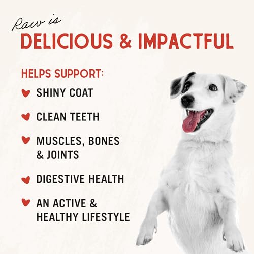 Stella & Chewy's Freeze-Dried Raw Chicken Heart Dog Treats - Single Ingredient, No Additives - Premium Trainin - view 6