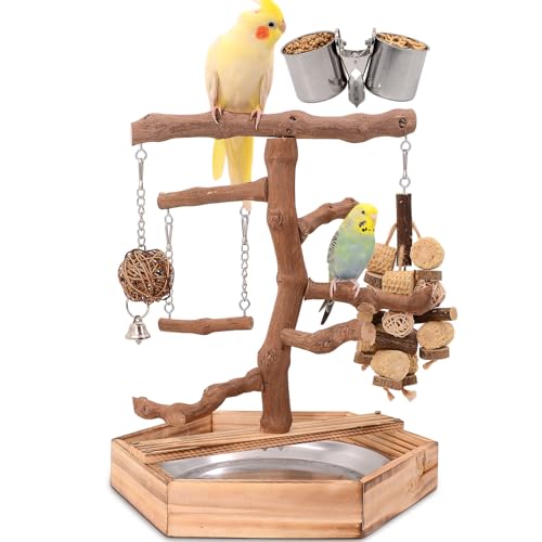 Natural Grape Wood Bird Parakeet Playground - Perch Stand for Parakeets, Cockatiels, and Small Birds Toys - view 2