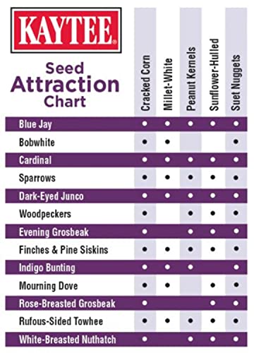Kaytee Seed & Suet No Mess Blend Blueberry Flavor 10 Pounds - view 6