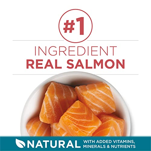 Purina ONE Natural Dry Cat Food, Tender Selects Blend With Real Salmon - 16 lb. Bag - view 3