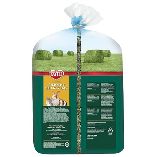 Kaytee Timothy Hearty Hay for Guinea Pigs, Rabbits & Other Small Animals, 48 oz - view 3