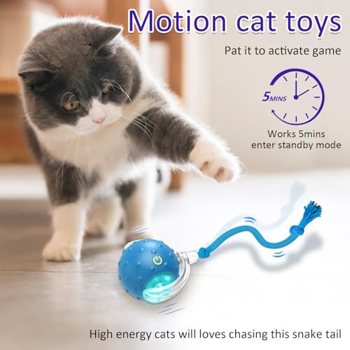 Giociv Interactive Cat Toys Ball for Indoor Cats Fast Rolling on Carpet, Chirping & Motion Activate Cat Toys ( - view 4