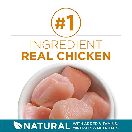 Purina ONE Natural Dry Cat Food, Tender Selects Blend With Real Chicken - 22 lb. Bag - view 3