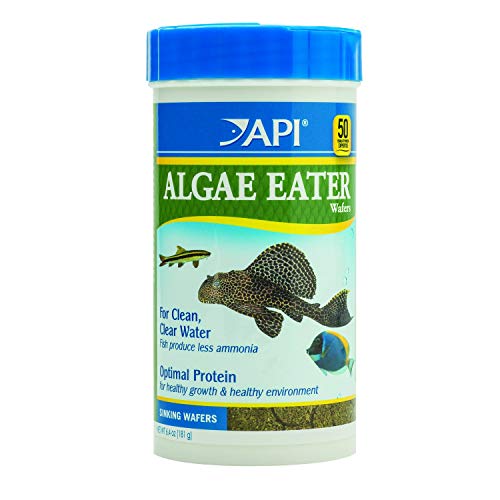 API ALGAE EATER WAFERS Algae Wafer Fish Food 6.4-Ounce Container - view 2