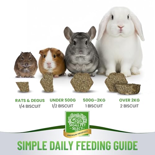Small Pet Select - Select Care Vitamin C Support Supplement, Natural High Fiber Timothy Hay Based Treats for R - view 5
