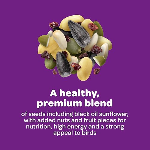 Kaytee Nut & Fruit Wild Bird Seed, 5 lb - view 7