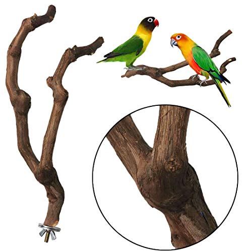 kathson Natural Parrot Perch Bird Stand Pole Wild Grape Stick Paw Grinding Fork Parakeet Climbing Standing Bra - view 6