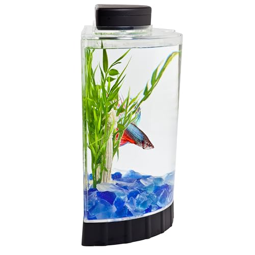 Tetra LED Half Moon Aquarium Kit, 1.1 Gallons, Small, Clear Plastic Fish Tank With Curved Front, Easy Feeding  - view 4