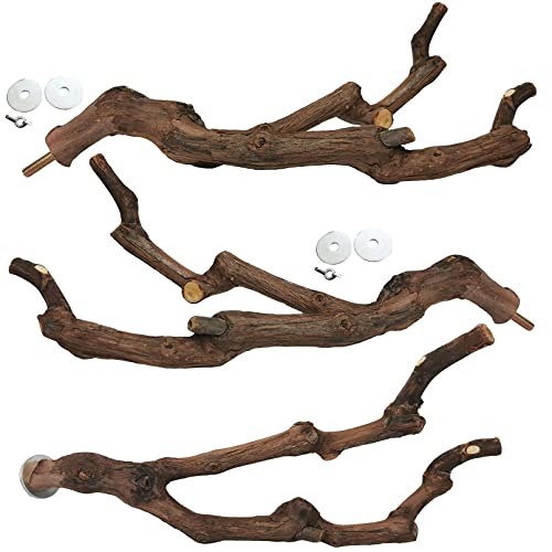 kathson Natural Parrot Perch Bird Stand Pole Wild Grape Stick Paw Grinding Fork Parakeet Climbing Standing Bra - view 2
