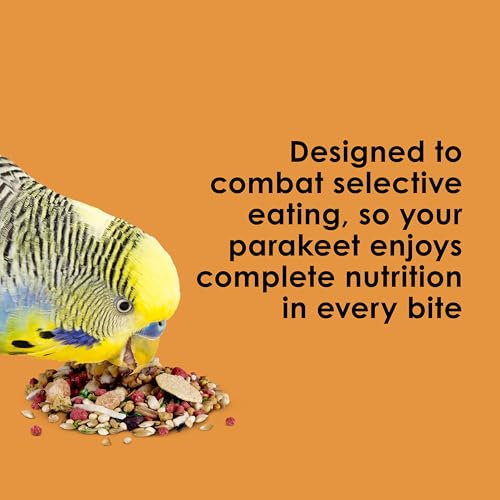 Kaytee Fiesta Parakeet Food, Nutritious and Fun Blend, Supports Skin, Feather, Digestion, Brain and Heart Heal - view 5