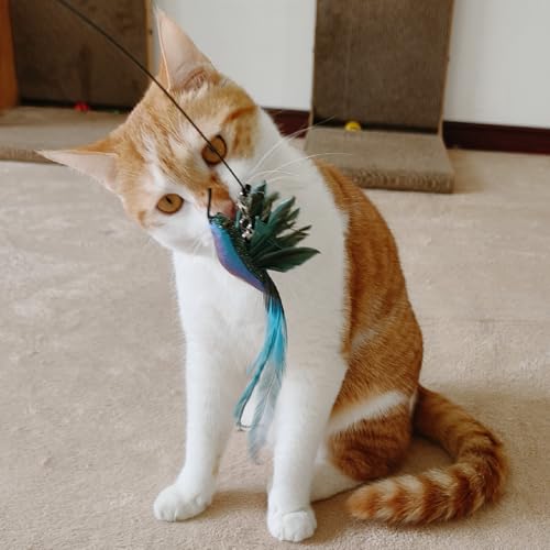 miwoowim Interactive Cat Toys for Indoor Cats - 35'' Steel Wire and 6PCS Feather Bird Refills,Teaser Toy,Cat W - view 5