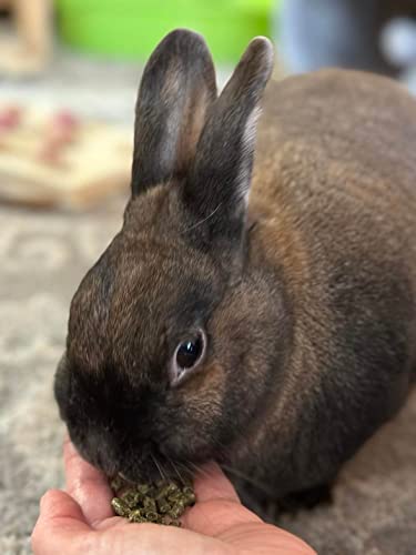 Sherwood Pet Health Adult Rabbit Food Timothy Hay Pellet 4.5 lbs. Hay-Based, Grain-Free, Soy-Free for Better D - view 4