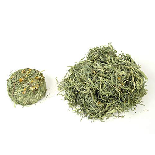 Oxbow Harvest Stacks, Western Timothy Hay with Chamomile, Guinea Pig Hay, Small Pet Bunny Supplies, Western Ti - view 4