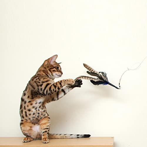 GoCat Da Bird Rod and Feather Cat Toy, Handmade in The USA (1 Bird) - view 4