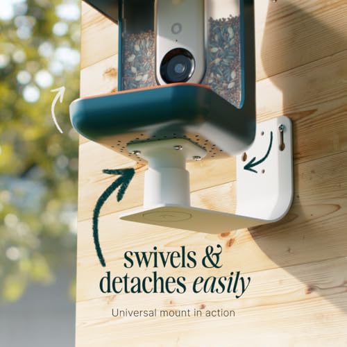 Birdbuddy Wall Mount - Versatile Bird Feeder Wall Mount for Wall & Fences - Durable, Weather-Proof Heavy Duty  - view 7