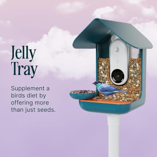 Birdbuddy 3-in-1 Nutrition Set - Outdoor Bird Accessories with Water Fountain, Fruit Spike & Jelly Tray Feeder - view 5