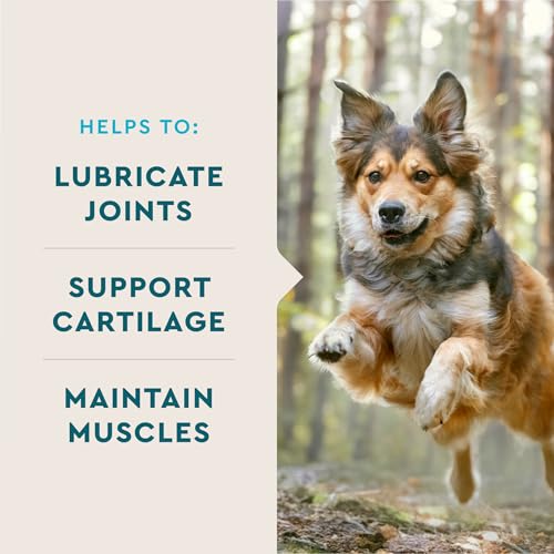 VetIQ Glucosamine Hip & Joint Supplement for Dogs, 180 Soft Chews, Joint Support Supplement with MSM and Krill - view 4