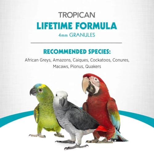 HARI Tropican Bird Food, Hagen Parrot Food with Peanuts & Sunflower Seeds, Maintenance Parrot Granules, Lifeti - view 6