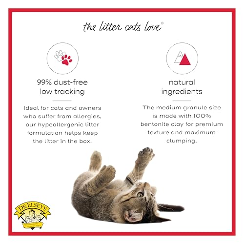 Dr. Elsey's Premium Clumping Cat Litter - Cat Attract - 99% Dust-Free, Low Tracking, Hard Clumping, Superior O - view 5