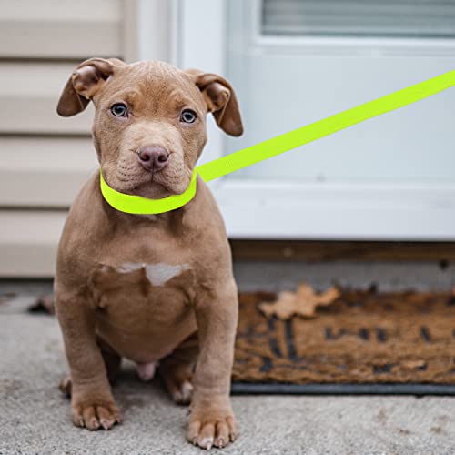 Slip Lead Dog Leash - 10 pcs Colorful 6 FT Short Dog Leashes with O-Ring for Small Large Dogs Puppy Cats Walki - view 6