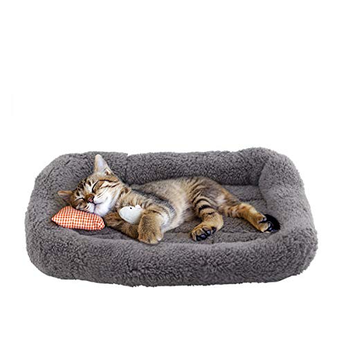 Enjoying Cat Mat Bed 10" x 15" Pet Bed with Pillow Around for Puppy Kitten Curled Sleeping Beds for Carrier/Cr - view 5