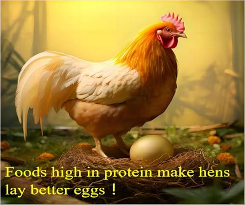 Classic Flock 5lb Dried mealworms - High Protein, Pure Natural, Delicious - Ideal for Chickens, Birds, Ducks,  - view 5