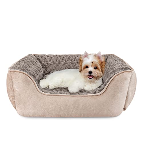 JOEJOY Rectangle Dog Bed for Large Medium Small Dogs - Washable Orthopedic Sofa Bed, Soft Breathable Puppy & P - view 2