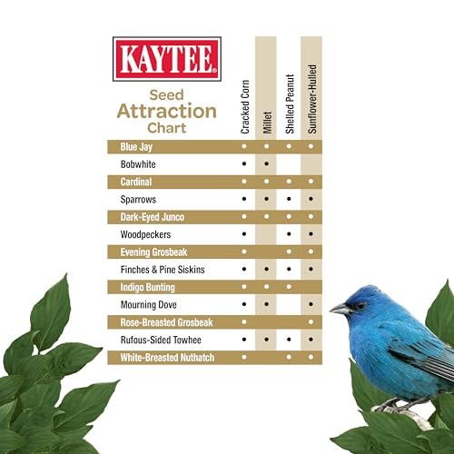 Kaytee Wild Bird (No Mess or Waste Free) Food Seed Blend For Blue Jays, Woodpeckers, Juncos, Cardinals, Grosbe - view 5