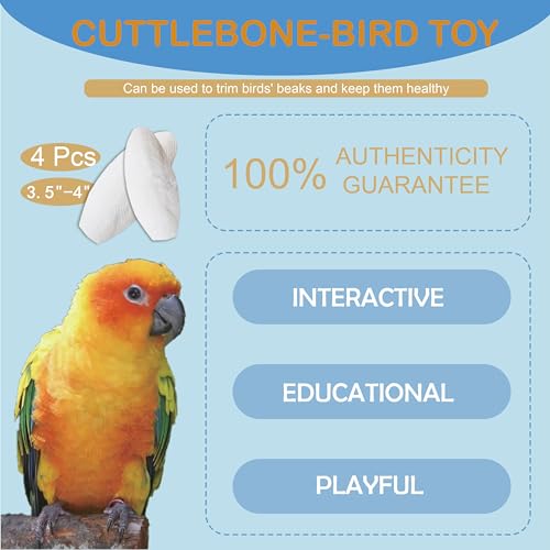 Jmxu's 3.5"-4" Cuttlebone for Birds Parakeets, Cuddle Bone with Metal Clip, Cuttlefish Bone for Sharp Beaks, N - view 4