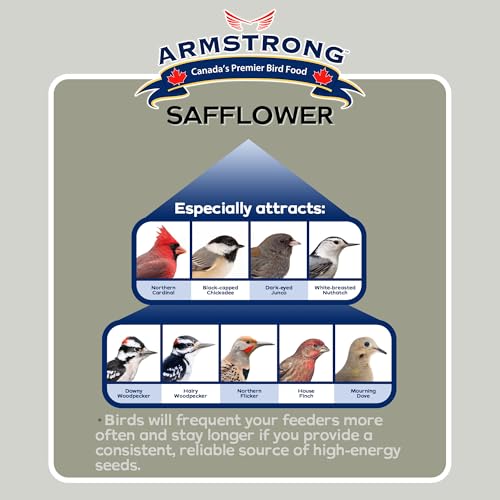 Armstrong Wild Bird Food Safflower Bird Seed, 20 Pounds - for Northern Cardinals, Rose-Breasted Grosbeaks and  - view 3