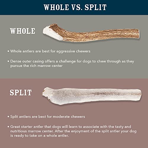 Brand - Wag Split Elk Antler, Naturally Shed, Long Lasting for Aggressive Chewers, Medium (Best for Dogs 15-30 - view 8