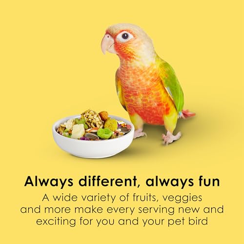 Kaytee Fiesta Conure Food, Nutritious and Fun Blend, Supports Skin, Feather, Digestion, Brain and Heart Health - view 4