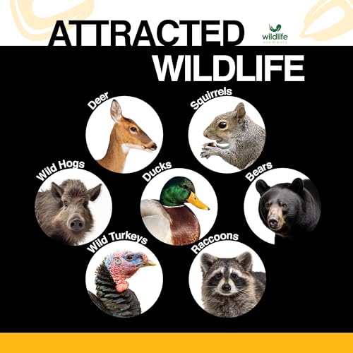 Wildlife Elements Critter Corn, Natural Whole Shelled Corn for Wildlife, 44lb Bag – High-Energy Feed for Deer, - view 4