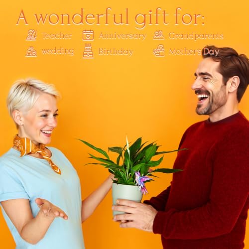 Hummingbird Gifts for Women, Hanging Plant Planter for Indoor Outdoor Garden, Mothers Day Birthday Gifts for M - view 7