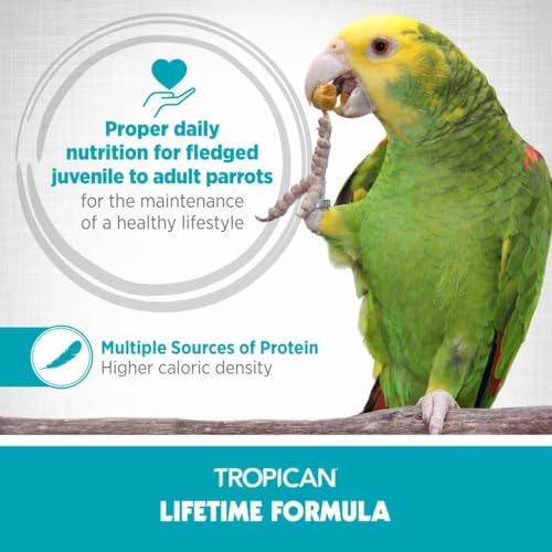 HARI Tropican Bird Food, Hagen Parrot Food with Peanuts & Sunflower Seeds, Maintenance Parrot Granules, Lifeti - view 4