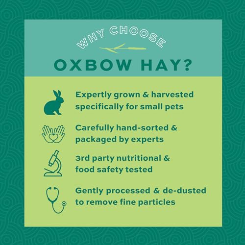 Oxbow Animal Health Orchard Grass, Guinea Pig Hay, Rabbit Hay, Small Pet Bunny Supplies, All Natural Grass for - view 6