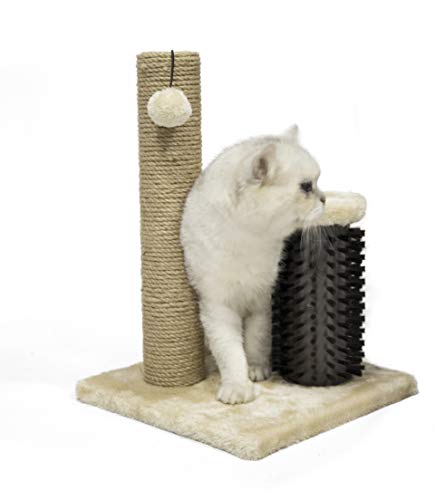 Basics Cat Scratcher - Indoor Classic Single Cat & Kittens Scratching Post with Brush, Small (16.5" H) - Beige - view 3