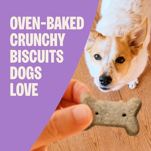 Wellness Old Mother Hubbard Classic P-Nuttier Dog Biscuits, Natural Training Treats, Peanut Butter Flavor, Min - view 3