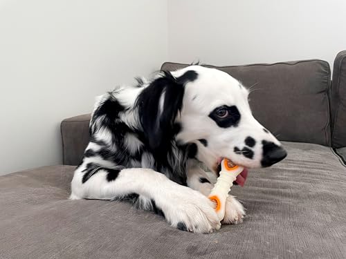 Nylabone Pop-in Treat-Toy Refill Chews, All-Natural Dog Treats for Treat Dispensing Toys, Chicken Flavor, 90 C - view 7