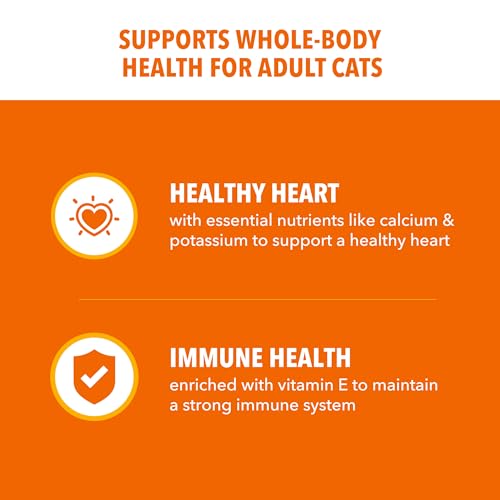 IAMS Proactive Health Adult Healthy Dry Cat Food with Real Salmon, 7 lb. Bag - view 5